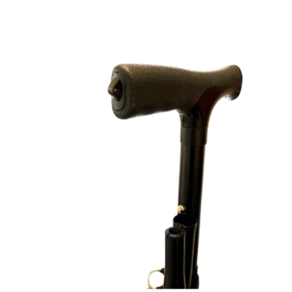 Captura de ecrã 2025-02-18 111914